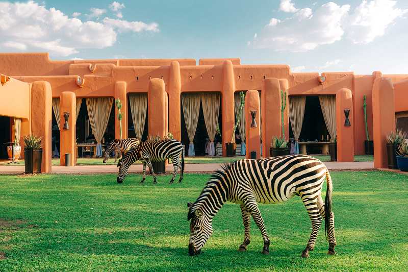 Neue Zimmer im Avani Victoria Falls Resort